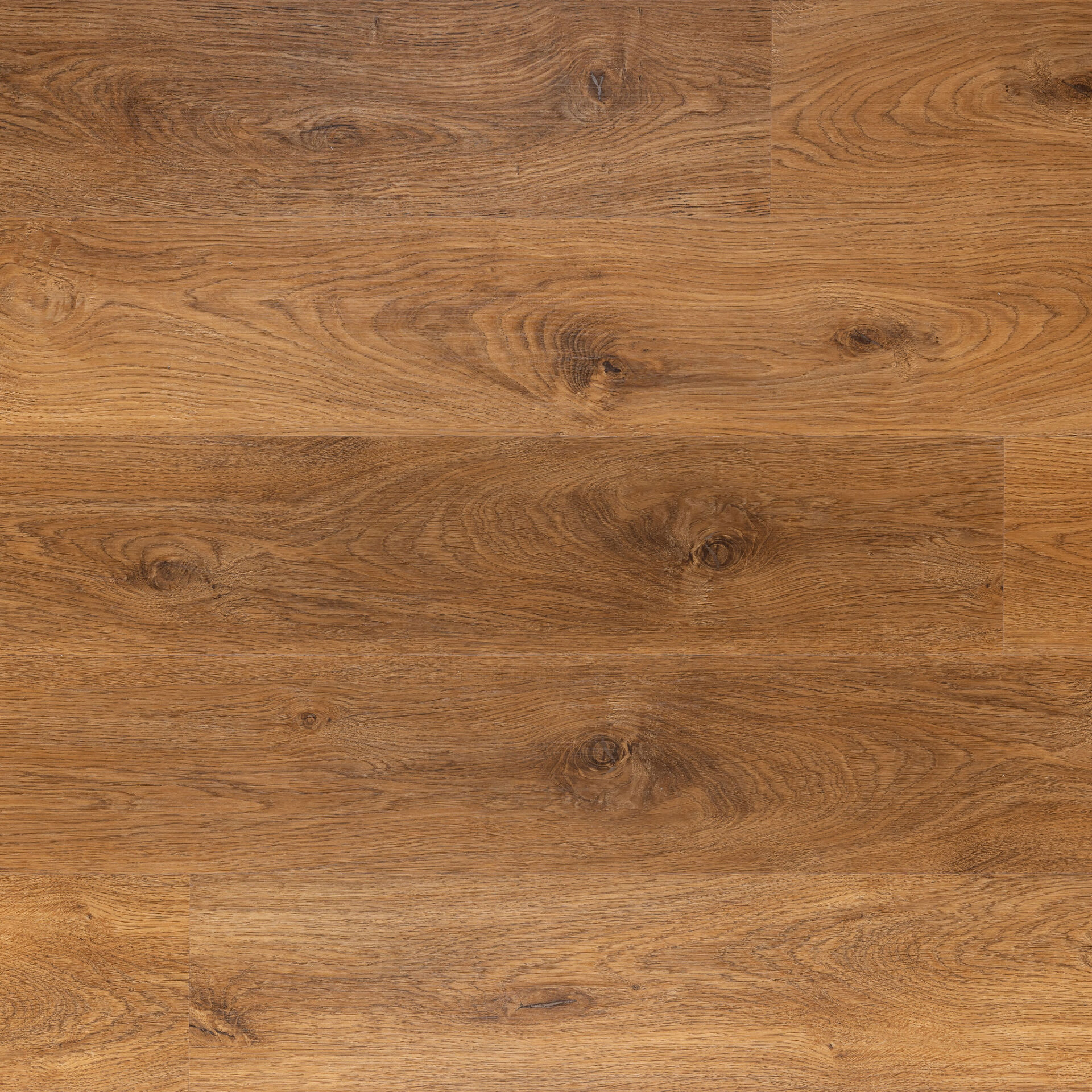 Medium Oak